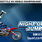 IFMX Night of the Jumps Basel 2013 SAT - LIVE
