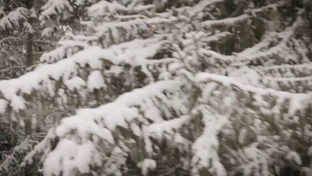 Superpark Planai: QParks Freeski Tour - Blue Tomato Plan P 22-12-12